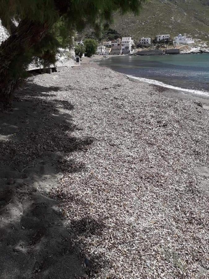 Kalymnos Beach House Panormos  Экстерьер фото